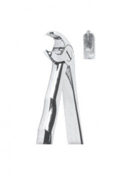 Extracting Forceps